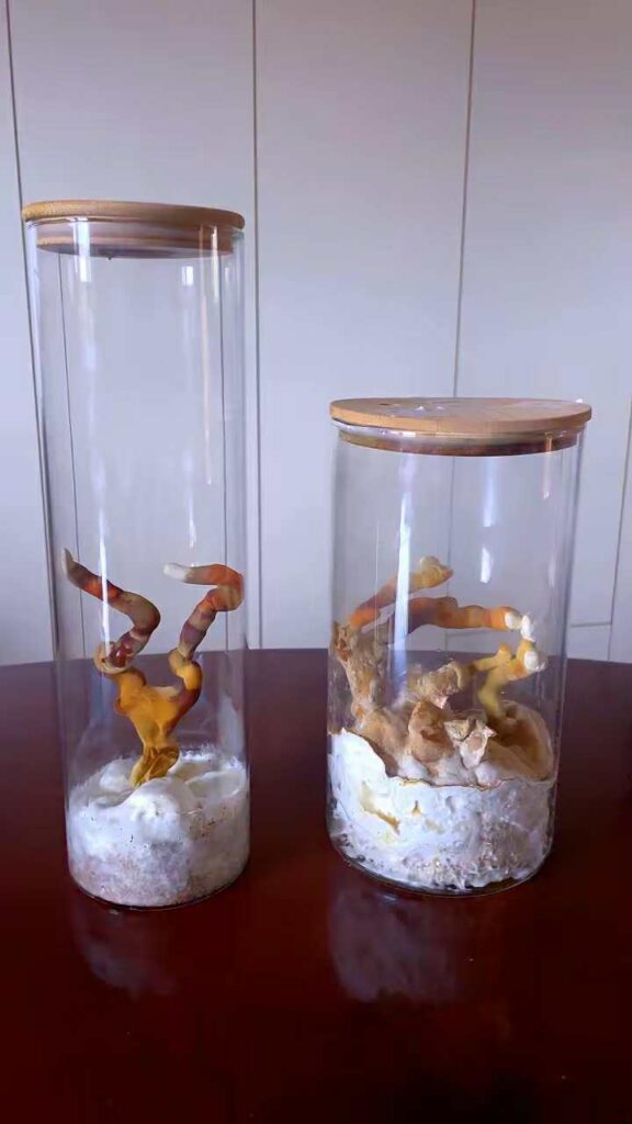 420d0a1a-9a7e-451e-8c81-b7099a8c6392