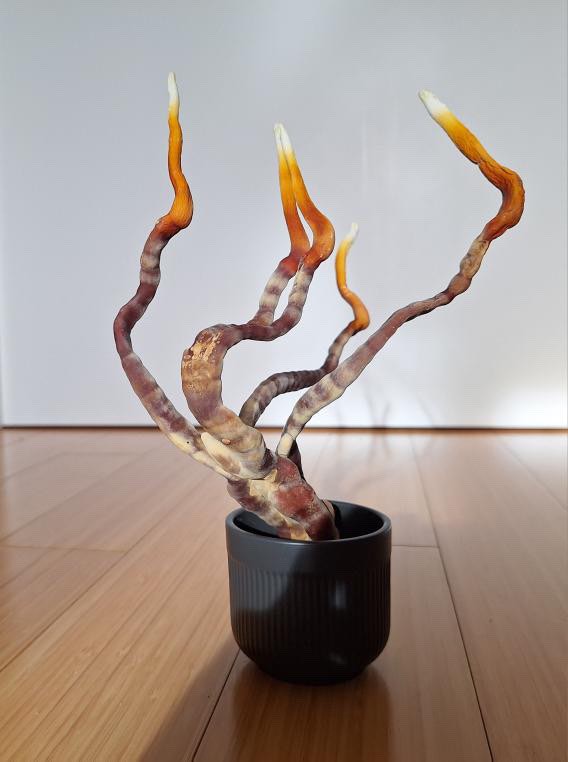 485088134_586669177736020_2297225978668294251_n