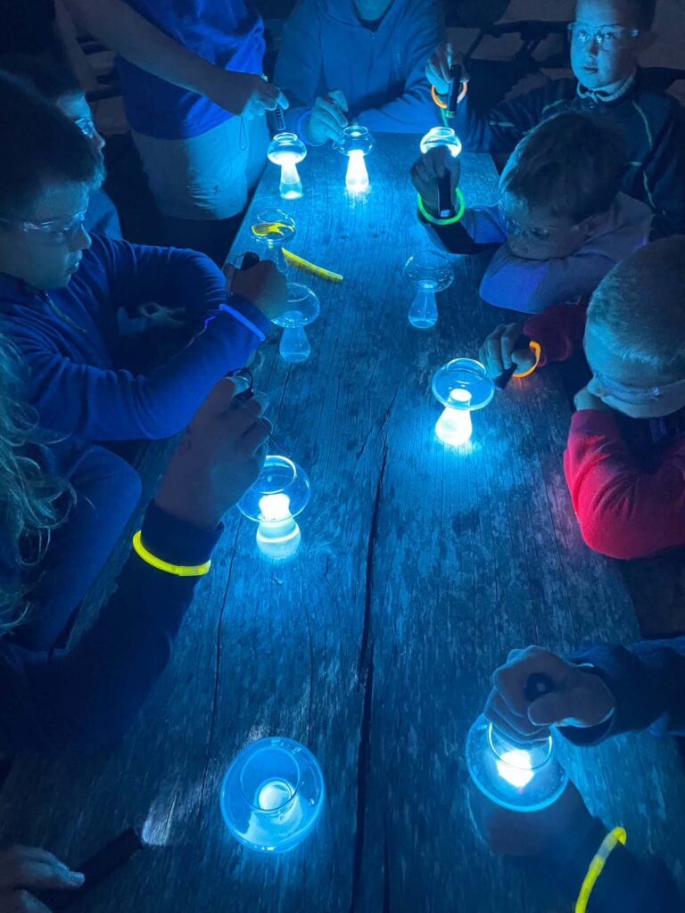 Žareča pijača in UV svetloba 