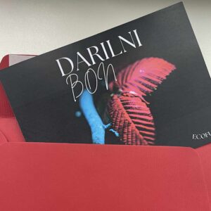 Darilni bon-Čar nočnega gozda