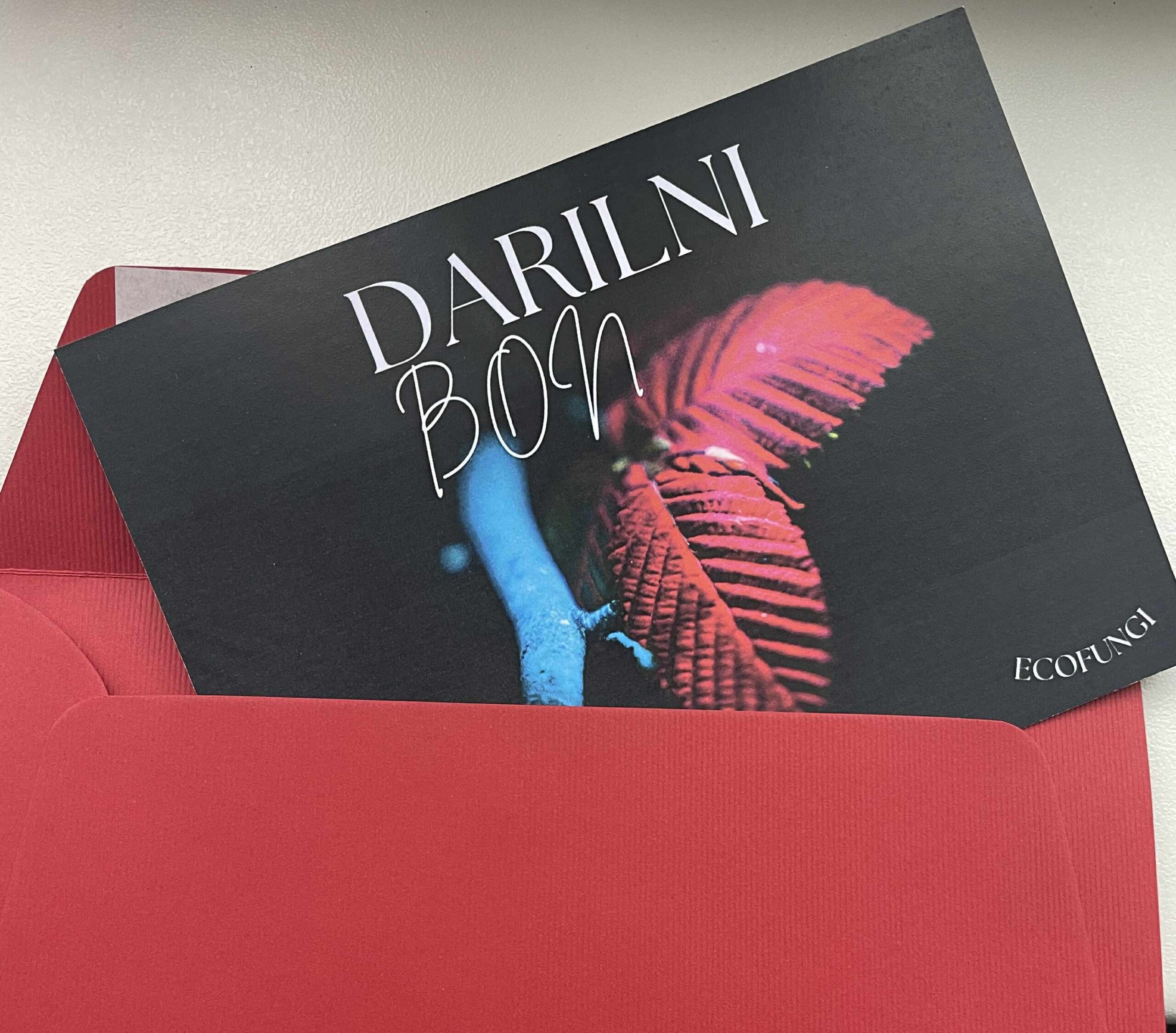 Darilni bon-Čar nočnega gozda
