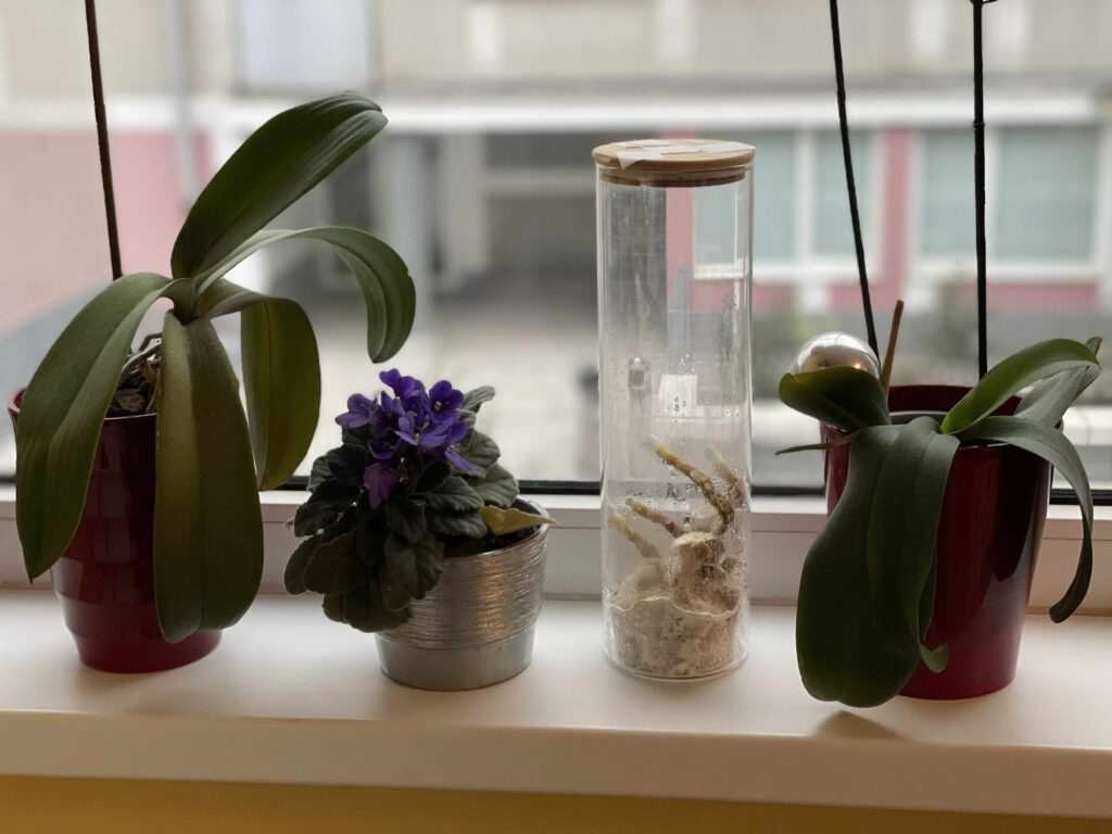 98fcf585-0934-4c61-ba90-e47add4218bc