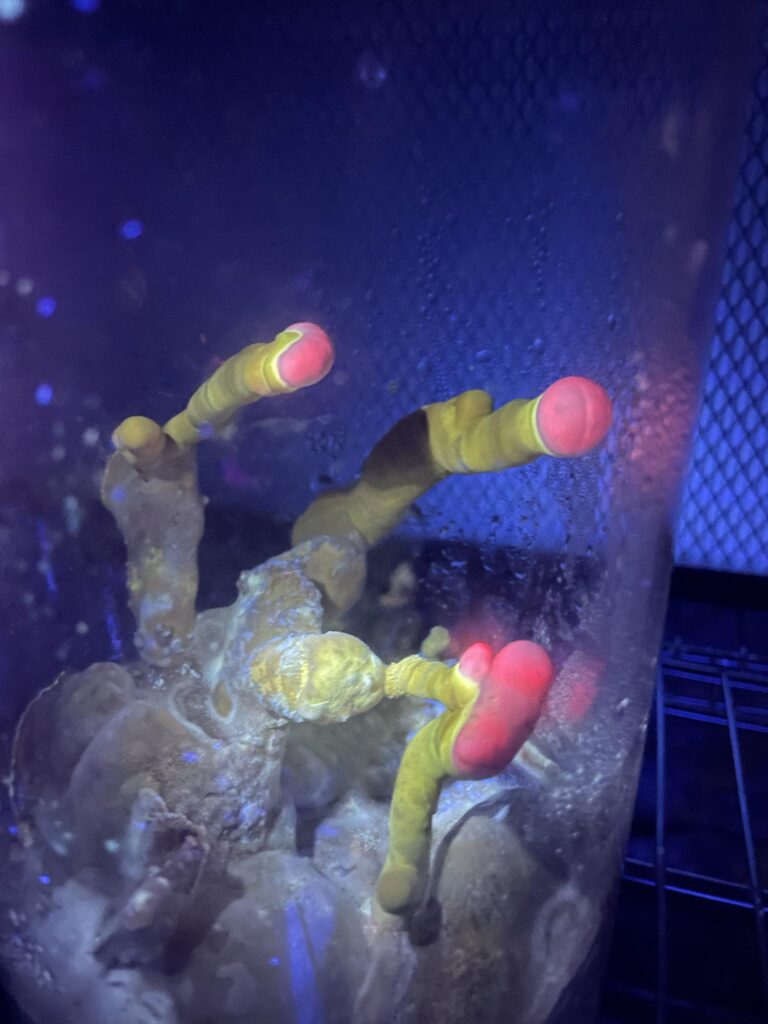 9fe78b5b-d1ee-4bfe-883f-942ec8331b6e