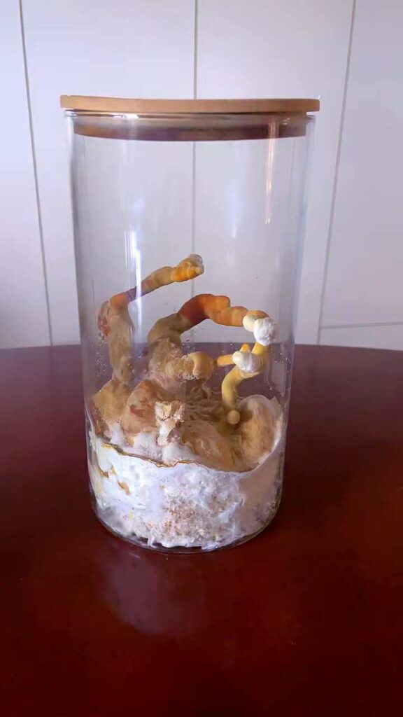 ca533e90-8e71-4e64-a80a-096ed252adbc