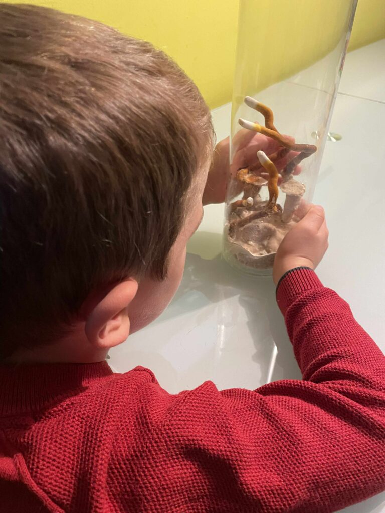 1c6ddd64-b734-4c4e-a5af-c820a20893af