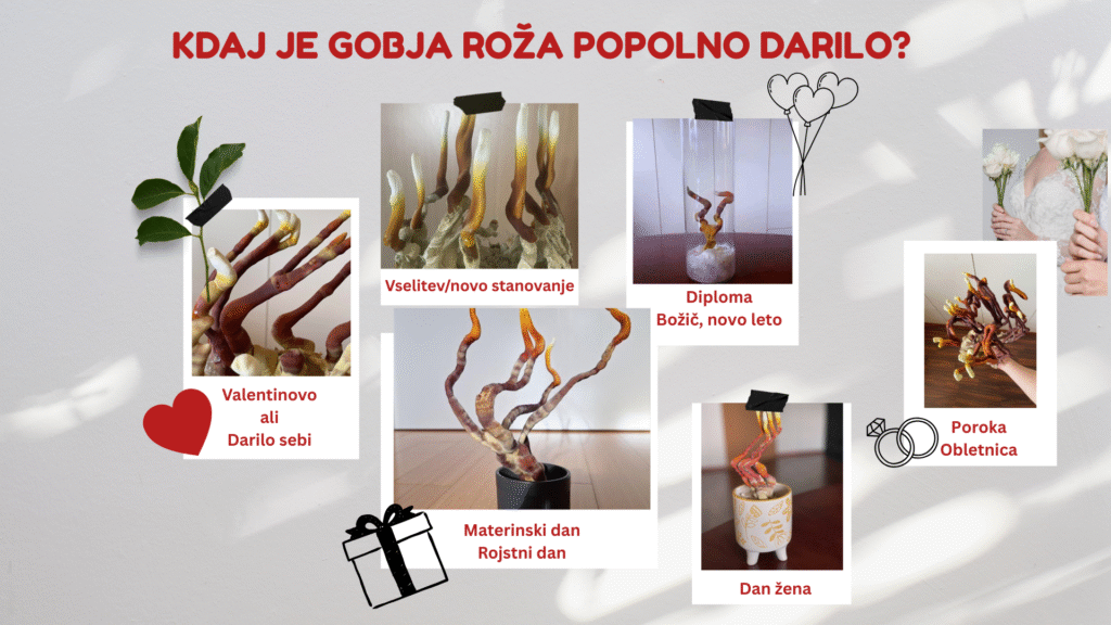 Minimal Aesthetic Photo Collage Desktop Wallpaper