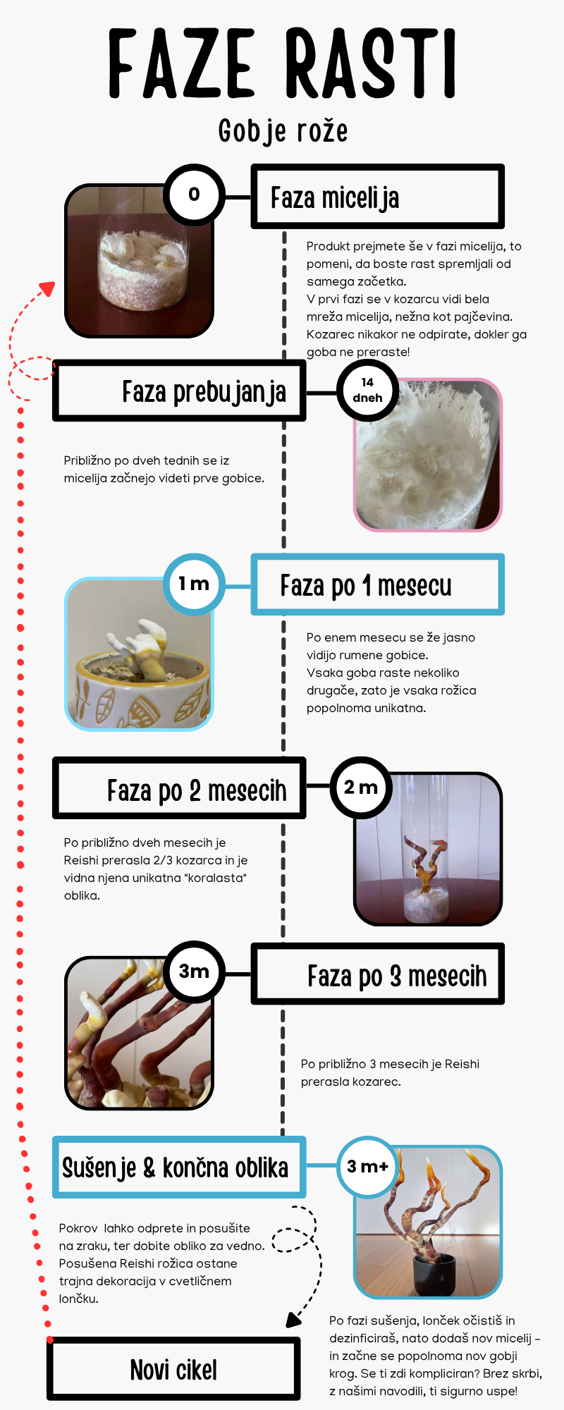 White Colorful Doodle History Timeline Infographic (1)