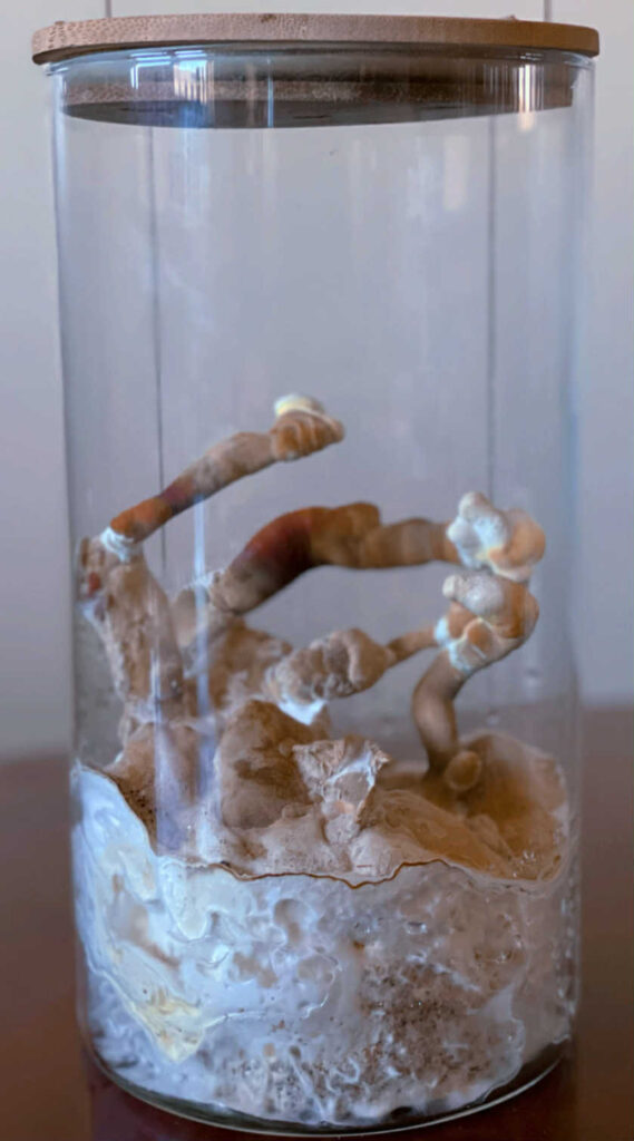 bfed856f-609b-4d49-9a91-fe76ac6c4f89